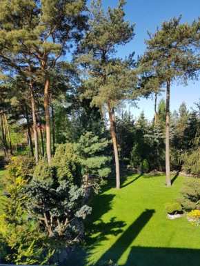 Molas svečių namai
